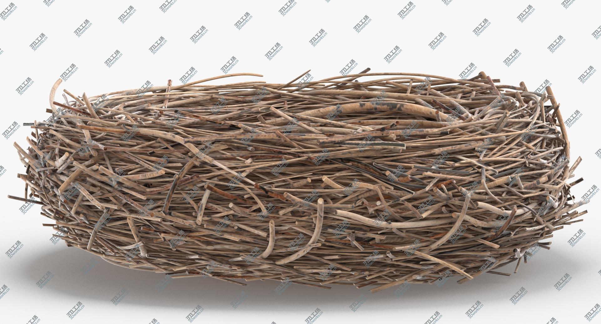 images/goods_img/2021040162/3D Bird Nest 03 With Quail Eggs model/4.jpg